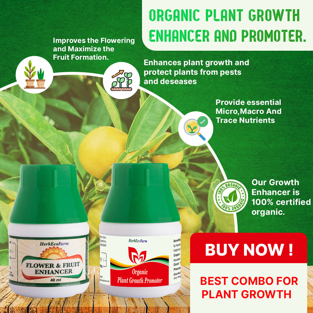 Organic Plant Growth Enhancer Buy 1 Get 1