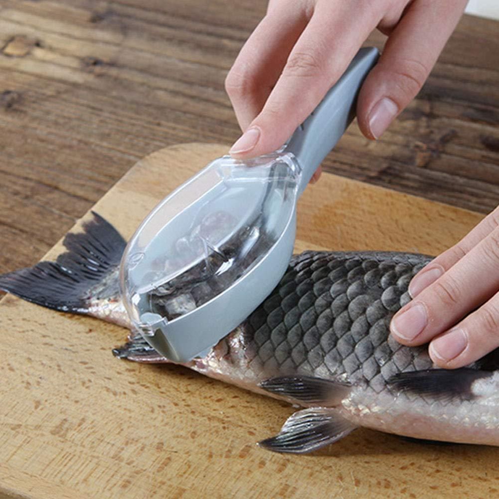 Fish Scaler Scraper